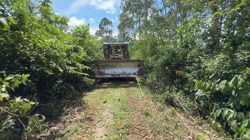 Bulldozer D6R XL Walking Home on the Mountain Plantation Road