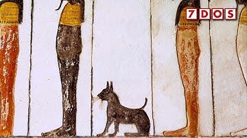 De domesticatie van katten is recenter dan we dachten