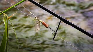 I Didn't Know This Fish Lived HERE! - Small River Spinning