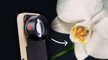 Moment Macro Lenses Just Got an Upgrade!