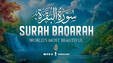 Surah Al-Baqarah سورة البقرة Full Calming Voice Will Deeply Touch the Soul إن شاء الله | #baqarah