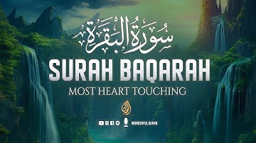 Surah Al-Baqarah سورة البقرة Full Calming Voice Will Deeply Touch the Soul إن شاء الله | #baqarah