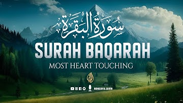 Surah Al-Baqarah سورة البقرة Full Calming Voice Will Deeply Touch the Soul إن شاء الله | #baqarah