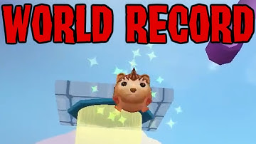 Animal Jam Roll Speedrun WORLD RECORD