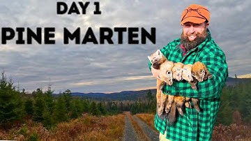 THE TRAPLINE:  1st Pine Marten Trapping Check: Ep12