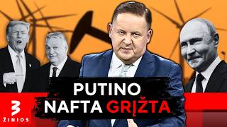 JAV žalias šviesos signalas