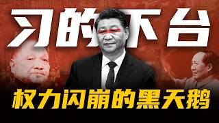 【习近平突然下台?】权力闪崩的黑天鹅