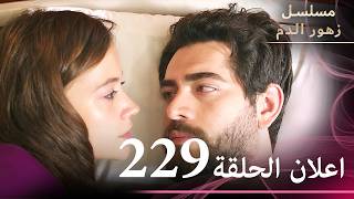 اعلان الحلقة 229 | مسلسل زهور الدم | مدبلج بالعربية | Kan Çiçekleri