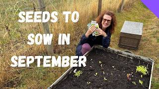 What To Sow In September - Allotment Gardening For Beginners UK