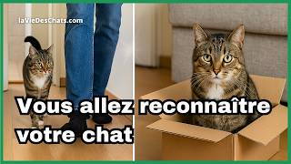 WHY DOES YOUR CAT FOLLOW YOU EVERYWHERE... OR NOT AT ALL?