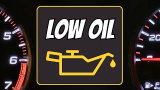 What YOU Can Do About OIL CONSUMPTION