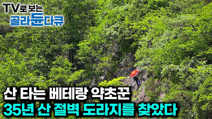 베테랑 약초꾼도 긴장했다. 300만원 절벽 도라지 발견한 결과 ⛰️여름향기 가득한 산골 사람들 1시간 몰아보기⛰️｜한국기행｜#tv로보는골라듄다큐