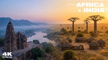 India + Africa | Sitar & Djembe Fusion for Calm & Focus | Chill 4K