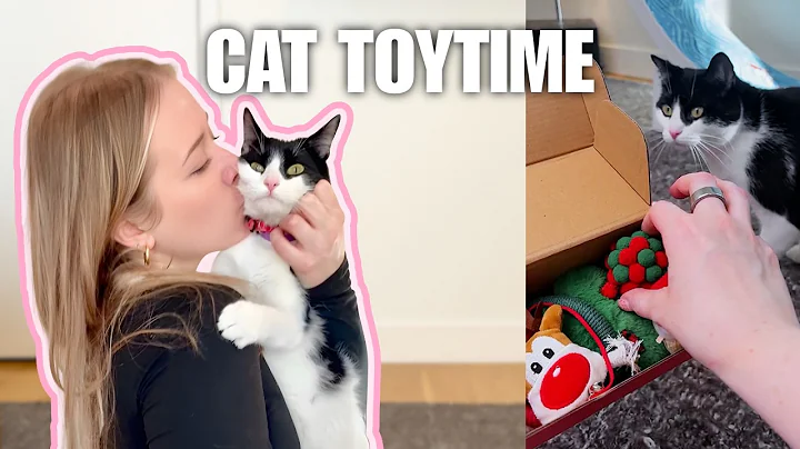 Cats try adorable catnip Christmas cat toys! 🎄