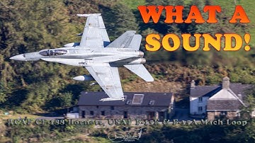 What a SOUND! RCAF CF 188 Hornet, F 35A & F 15E Roar Through the Mach Loop!