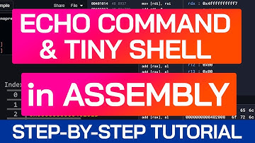 Making the ECHO Command in Assembly | Beginner Tutorial | x86-64 Assembly Course