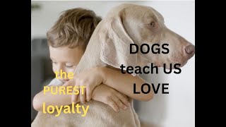 Lessons Of Love And Devotion. Why Dogs Love Us Unconditionally?