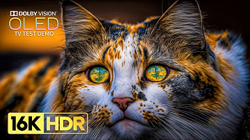 Incredible Dolby Vision 16K HDR 120FPS (8K/4K TV)