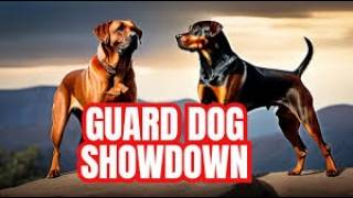 Guard Dog Face-Off: Rottweiler vs Rhodesian Ridgeback - Who’s the Ultimate Protector?