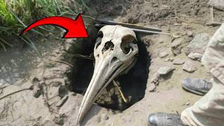 Terrifying Things Humans Encountered In Iowa