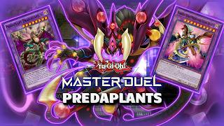 PURE PREDAPLANTS UPDATE! VS META DECKS - YUGIOH! MASTER DUEL