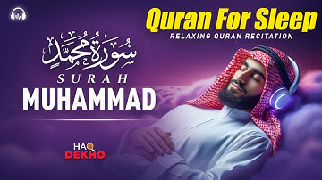 Soothing Lofi Quran for Stress Relief & Inner Healing with Surah Muhammad سورة محمد I Haq Dekho