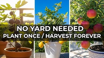 13 FRUITS TREES THAT THIRVE IN POTS, SHADE & TINY SPACES   THE LAZY & EASY GARDENER’S GOLDMINE