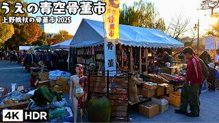 🥰Stunning Autumn Leaves! Aozora Antique Market @ Ueno Park in Tokyo 2025 4kHDR