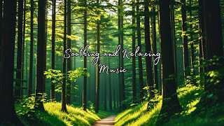 Beautiful Soothing and Relaxing Music for Deep Sleep Hypnosis,Meditation, Stress Relief & Relaxation