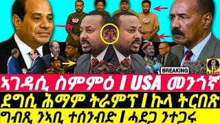 July-08 USA መንጎኛ I ግብጺ ንኣቢ ተሰንብድ I ሓደጋ ንተጋሩ I Egypt-Somalia Deal I Tigray's Risk & Eritrea Replay