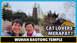 Et.3 Ep.208 | WUHAN | Baotong Temple - Lebih dari 1500 Tahun, Dulu Ada 1500 Biksu Tinggal di Sini 📿