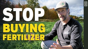Why You NEED Cover Crops in Your Market Garden | Grow Your Own Fertilizer!