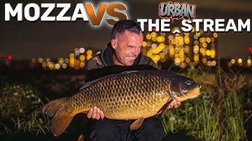 Hidden Gem in London! Mozza VS The Urban Stream | Carp Fishing