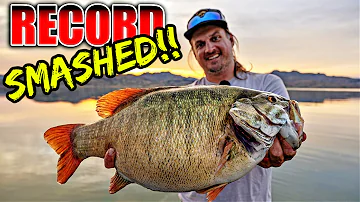 We Drove 27 Hours to Break the STATE RECORD...(Fish of a Lifetime)