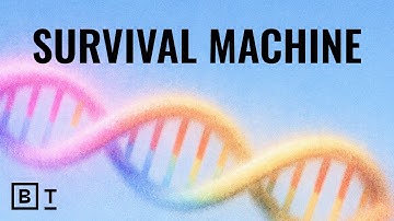 How evolution works in 54 minutes | Sean B. Carroll: Full Interview