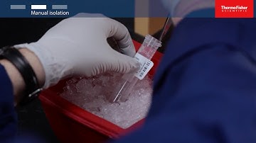 How to Isolate RNA: Total RNA Extraction Protocol for qPCR
