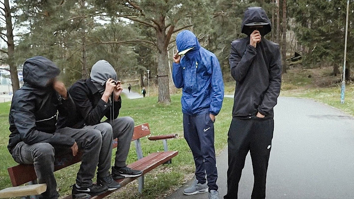 Sweden Facing the Gangs