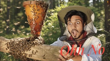 7 Beekeeping Mistakes That Can RUIN Your Hive 🐝 #beekeeping101 #bee #honey