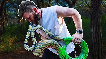 BEATBOXING INSIDE DIDGERIDOO SOUND LIKE THIS? - "Funkedelic" | Legendary Strawberry Man