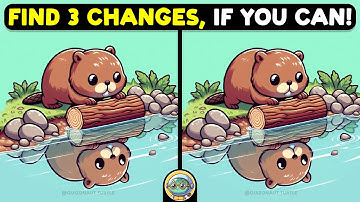 🐢🧩 Find 3 Differences | Puzzle Your Brain 🧩🐢 | Quizonaut Turtle
