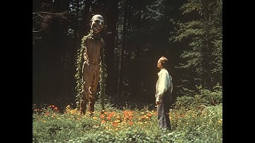 What fills the space when mankind departs?