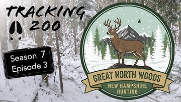 Looking for a Big Buck Track in NH Great North Woods: Tracking 200 S7E3:
