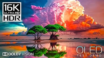 Explore Breathtaking Landscapes in Stunning 16K HDR 240fps Dolby Vision