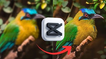 Fix Blurry or Low-Quality Video in CapCut PC (Best 4K Export Settings 2025)