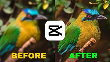 Fix Blurry or Low-Quality Video in CapCut PC (Best 4K Export Settings 2025)