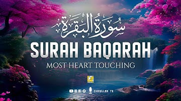 Surah Al Baqarah Full سورة البقره | Ultimate Relaxing Heart Soothing Quran | Zikrullah TV