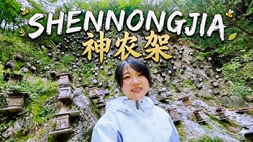 China Travel 2025 | Exploring Shennongjia’s Living Ecological Museum: Guanmen Mountain, Hubei Ep3