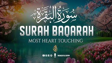 Surah Al Baqarah Full سورة البقره | Ultimate Relaxing Heart Soothing Quran | Wonderful Quran