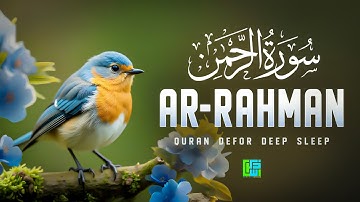 Surah Ar-Rahman سورة الرحمن | Ultimate Night Lofi Quran for Calm Sleep & Peace | #lofiquran
