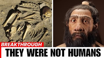 Neanderthals’ Ancient DNA Finally Reveals a Strange Discovery About Their True Origins